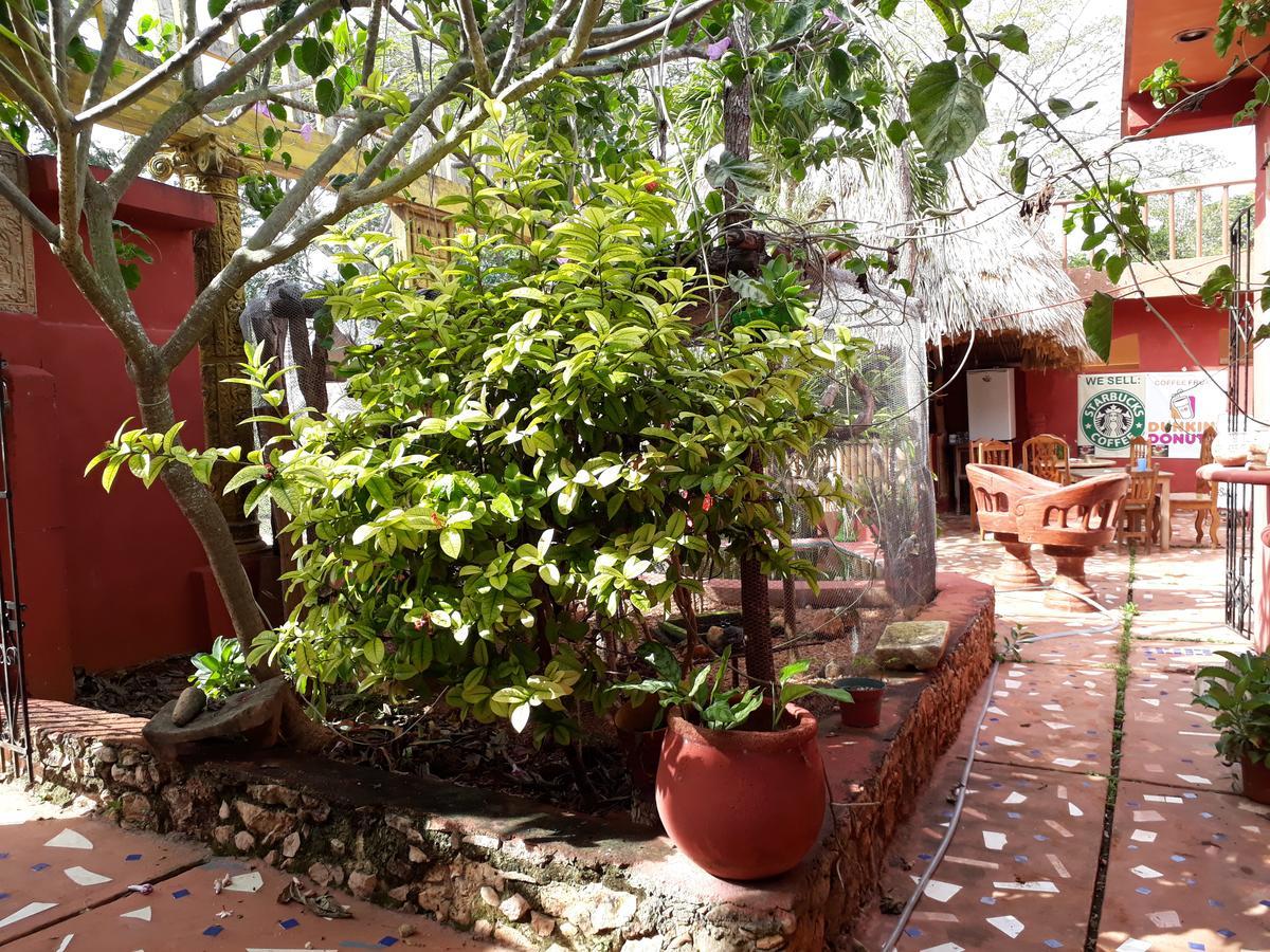 El Chac Mool Bed and Breakfast Santa Elena Esterno foto