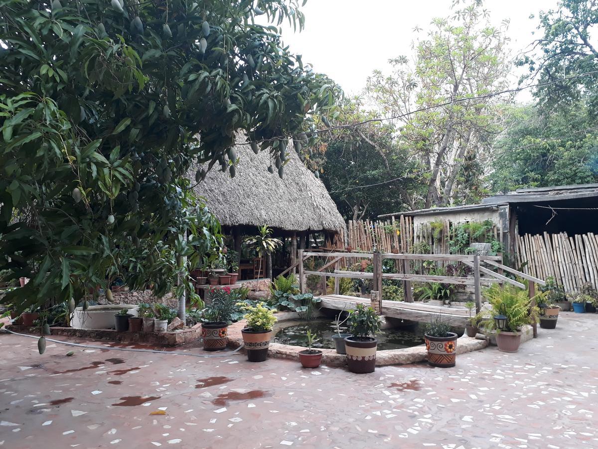 El Chac Mool Bed and Breakfast Santa Elena Esterno foto
