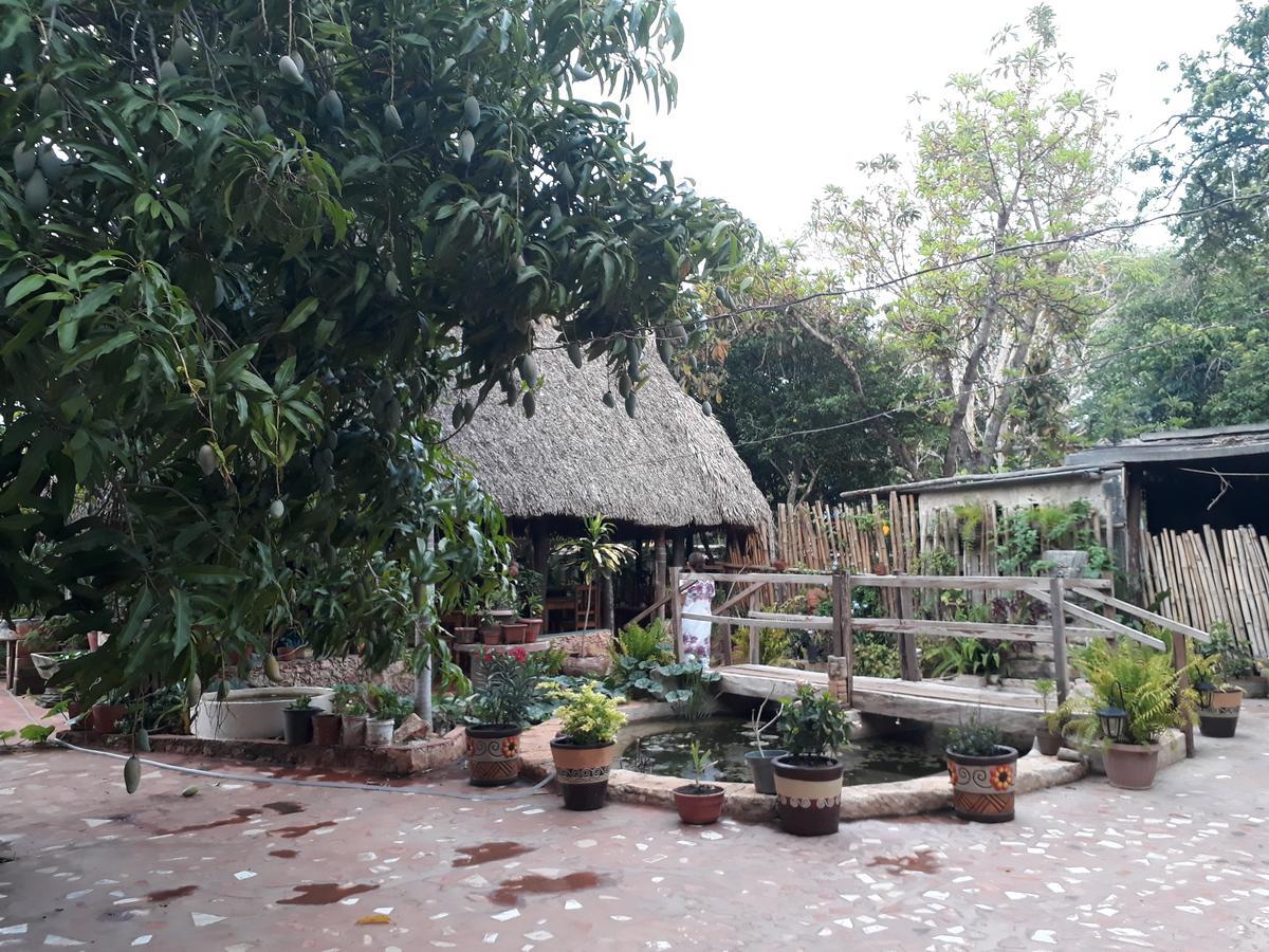 El Chac Mool Bed and Breakfast Santa Elena Esterno foto
